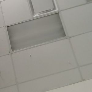 Meet your Posher, Ben